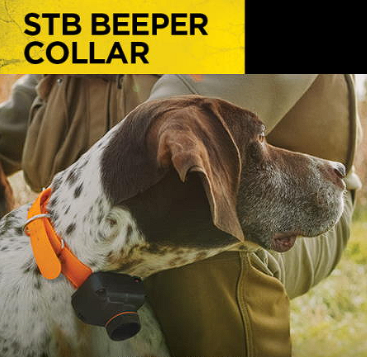 Dogtra Beeper Şahin Sesli