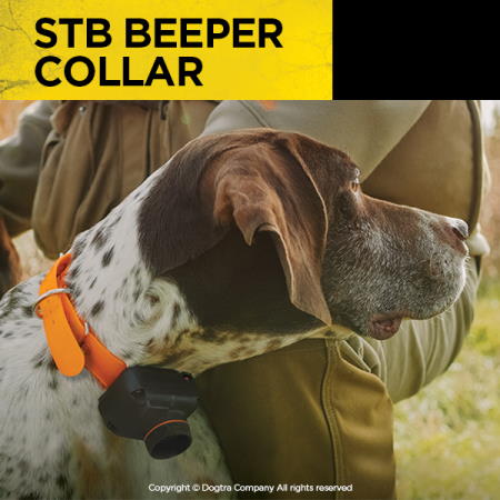 DOGTRA BEEPER