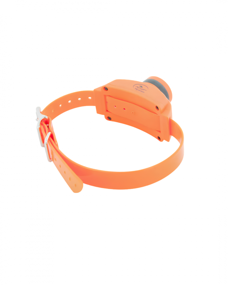 Sportdog Sd