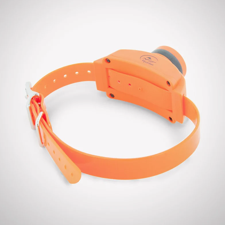 Sportdog Sd